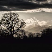 Benediktbeuern_Susanne-POsegga-270029