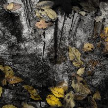 Bleicherbach_Posegga-1460314