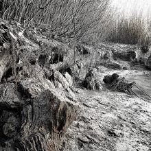 Donau_©Susanne-Posegga-220251