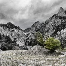 Gseng_©Susanne_Posegga_1360361