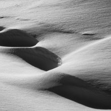 Schnee_©Susanne_Posegga_03