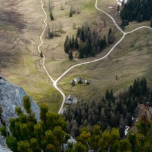 Stubwieswipfel-1520323