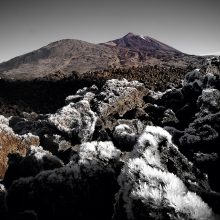 Tenerife2016_©Posegga-1480293