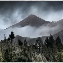 Tenerife_2017_03_©Susanne_Posegga-3170918