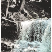 Trinkwasser_©Susanne_Posegga