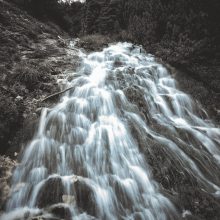 Ahornsee_2016_08_©Susanne Posegga-8140211