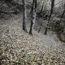 Bleicherbach_Posegga-1460308-