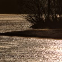 Donau_©Susanne Posegga_P1300954