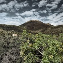 Lanzarote_©Susanne_Posegga_-1140104