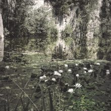 Resilackn_©Susanne-Posegga-6250214