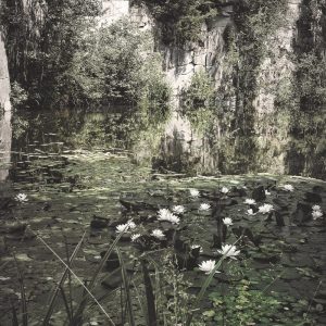 Resilackn_©Susanne-Posegga-6250214