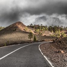 Tenerife_2017_03_©Susanne_Posegga