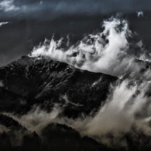 Herbst©susanne_posegga_P1280359