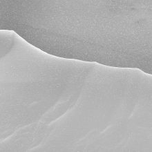 Schnee_©_Susanne_Posegga_P1090498